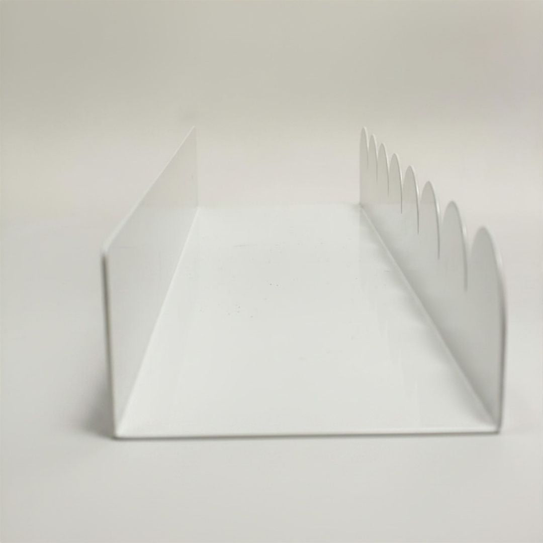 Scallop Shelf