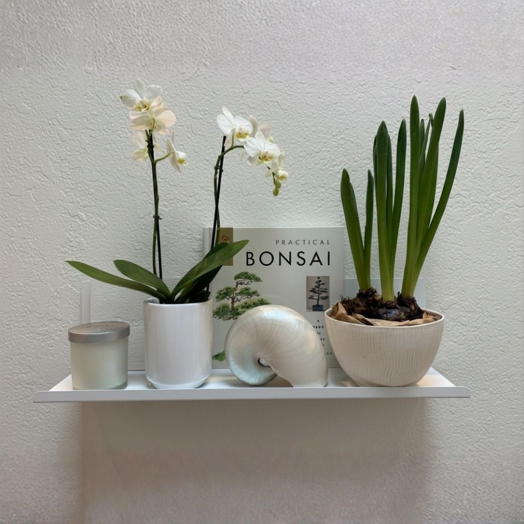 Lip Shelf
