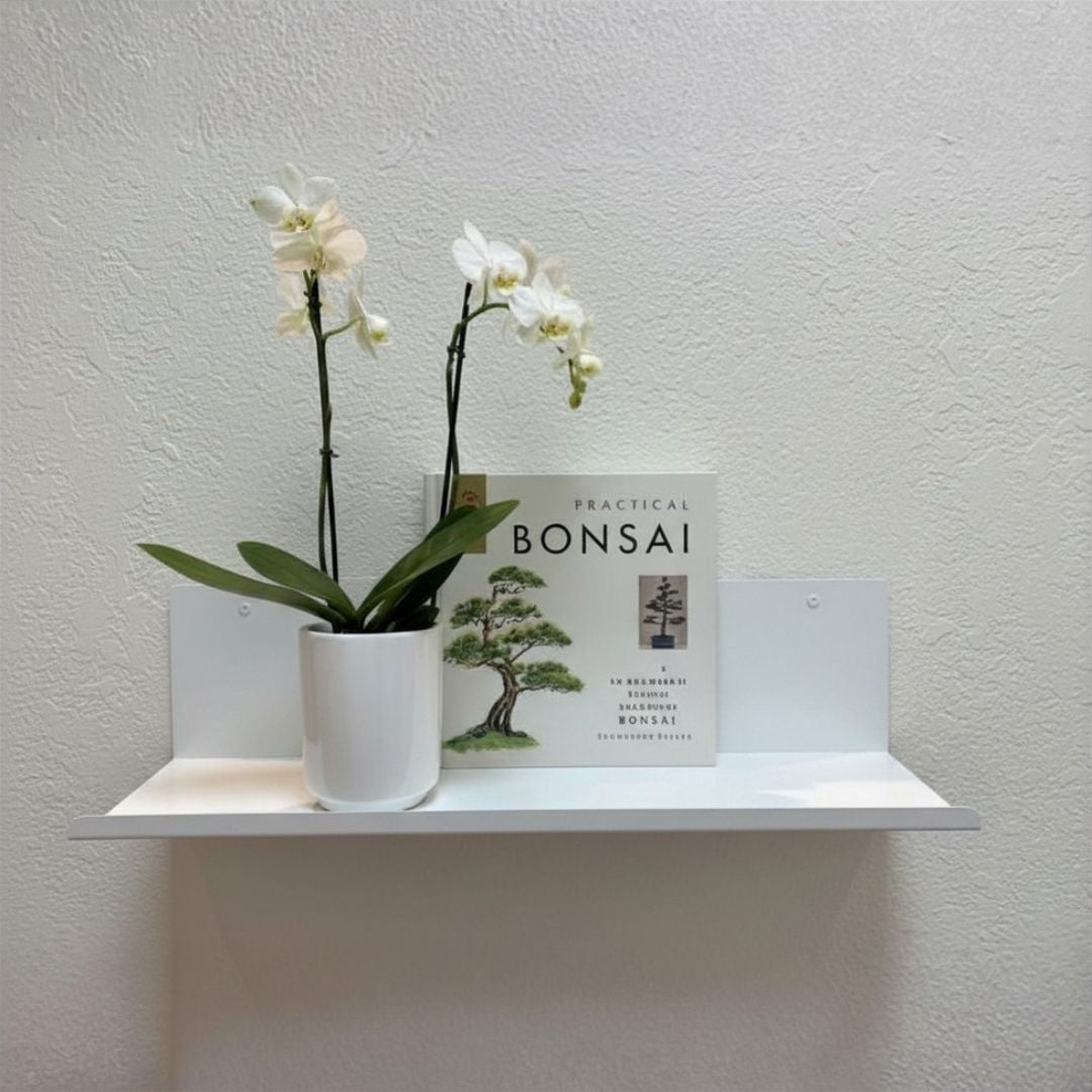Lip Shelf
