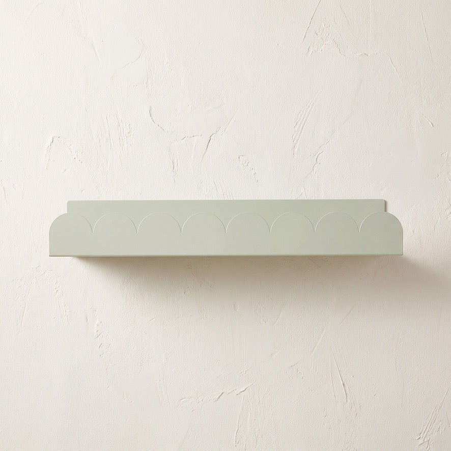 Scallop Shelf