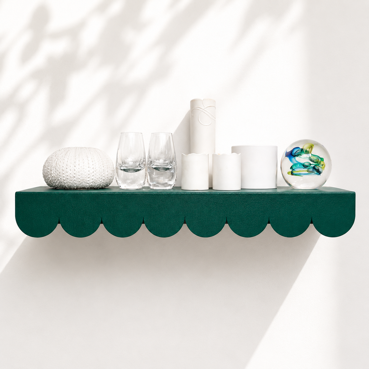 Scallop Shelf