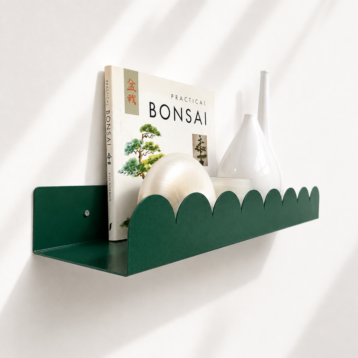 Scallop Shelf
